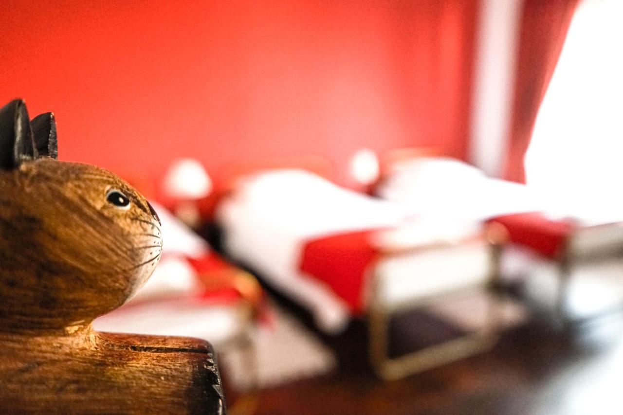 Azores Dream Hostel Ponta Delgada  Ruang foto